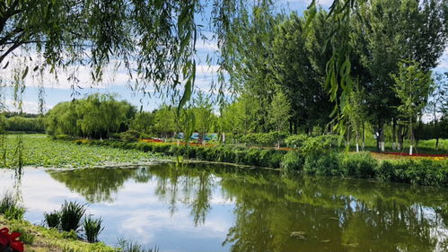 北京 千年古運河 今朝生態園