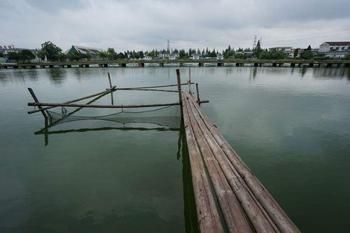 養(yǎng)了這么久池塘,水體就是肥不起來(lái)的原因都在這