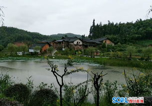 瀘州打造全國(guó)一流現(xiàn)代竹精品產(chǎn)業(yè)科技生態(tài)園區(qū)