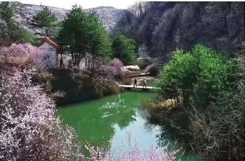 米家溝寫(xiě)意——平?jīng)鋈蛴紊⒂浿?九龍?zhí)渡鷳B(tài)園