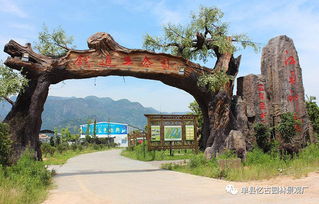 九龍?zhí)渡鷳B(tài)園大門(mén)景觀的獨(dú)特魅力