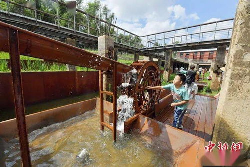 從工業(yè)銹帶到生活秀帶 吉林九龍?zhí)渡鷳B(tài)園讓老工業(yè)遺址“活”起來