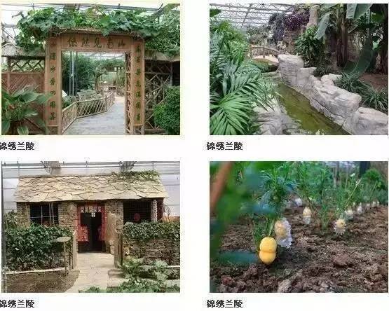 金秋之旅 蘭陵生態(tài)園賞向陽花、品美酒一日游