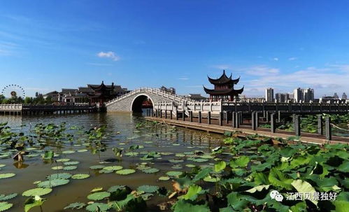 文化是旅游的靈魂，江西文化旅游發(fā)展大有可為——以九龍?zhí)渡鷳B(tài)園為例