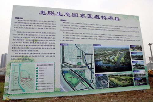 以高質(zhì)量履職促進(jìn)高質(zhì)量發(fā)展——黃欽參加市人大代表小組集中視察九龍?zhí)渡鷳B(tài)園