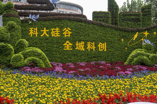 九龍?zhí)渡鷳B(tài)園與合肥150余個(gè)主題花展共繪生態(tài)園林城市新畫卷