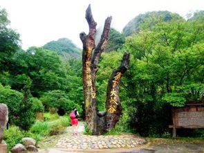 16周歲以下免票游世遺，668元泰寧雙動(dòng)車2日游 大金湖、寨下大峽谷、九龍?zhí)丁⑸袝谌[