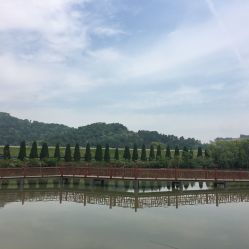 龍荷農(nóng)業(yè)生態(tài)園與九龍?zhí)渡鷳B(tài)園游覽指南 聯(lián)系方式、地址與營(yíng)業(yè)時(shí)間