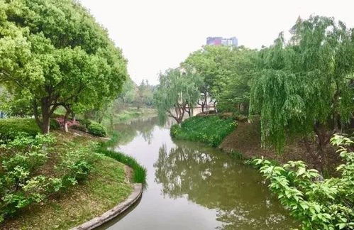 常熟奉賢手牽手，九龍?zhí)渡鷳B(tài)園繪就跨區(qū)域文旅新篇章